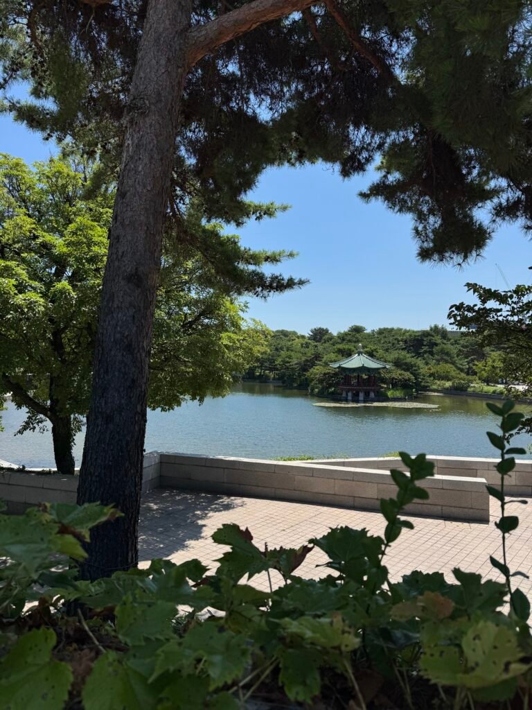 National Museum of Korea Guide🇰🇷: Is It Worth Visiting? My Honest Experience💕 img 1296